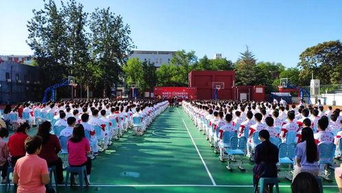 新朝阳最新学校爆料新闻,揭秘校园新动态与教育改革进展  第3张